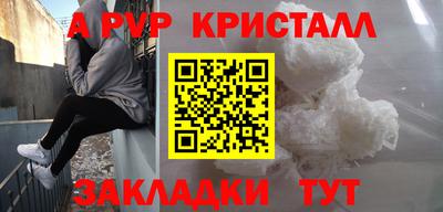 стафф Донской