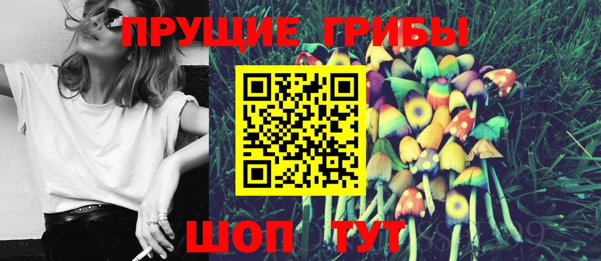 Вязники  Псилоцибиновые грибы Psilocybine cubensis  Вход с VPN  Псилоцибиновые грибы MAGIC MUSHROOMS 