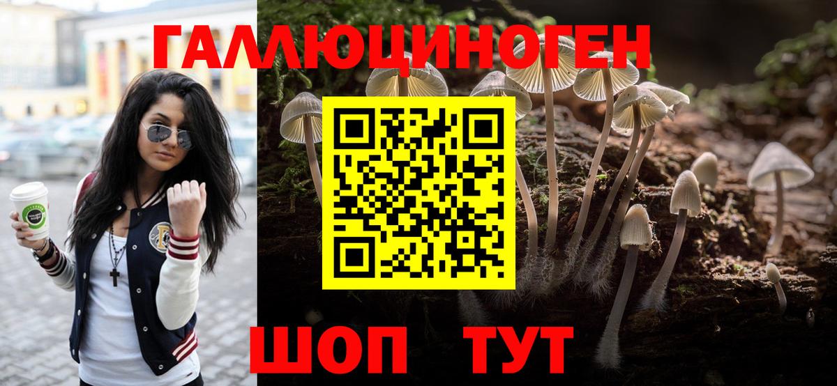 Галлюциногенные грибы Cubensis Вязники