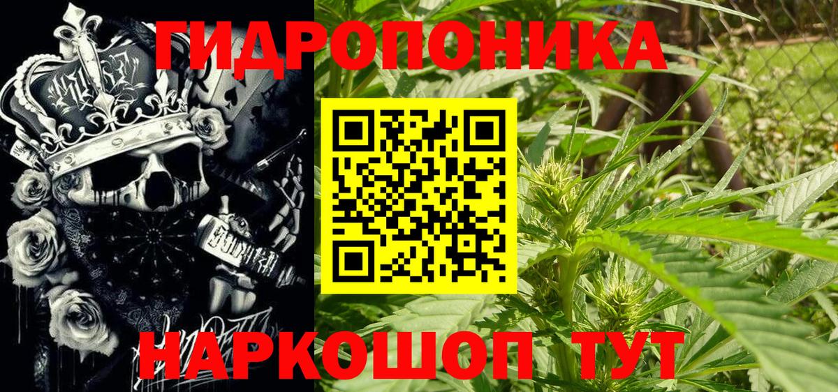 МАРИХУАНА AK-47  Каннабис индика  Вход с VPN  Бошки марихуана AK-47  Вязники  Канабис ГИДРОПОН 
